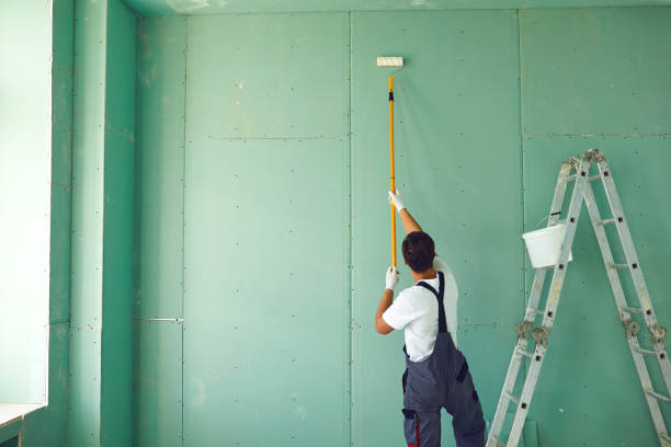 Best HVAC Mold Inspection and Cleaning  in Town N Country, FL