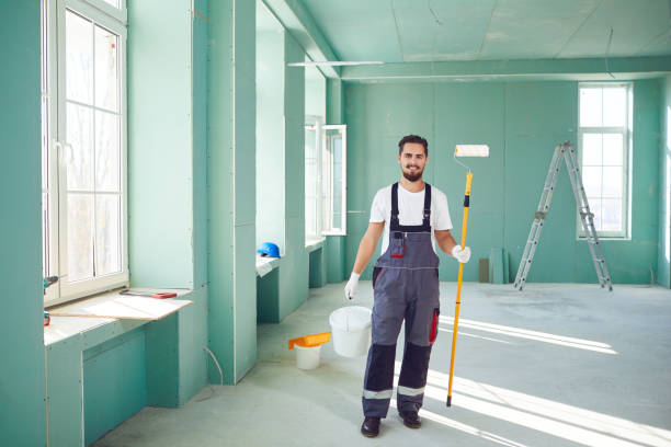 Best Post-Construction Mold Inspection  in Town N Country, FL
