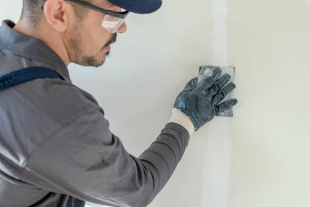 Best Air Quality Testing for Mold Spores  in Town N Country, FL