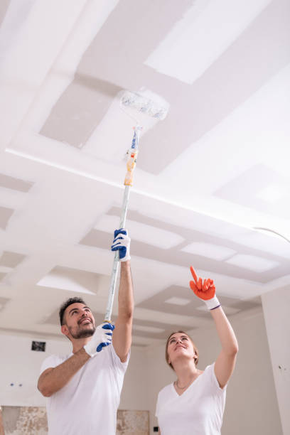Best Mold Removal for HVAC Installations  in Town N Country, FL