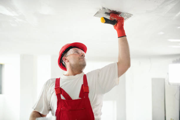 Forensic Mold Investigation in Town N Country, FL