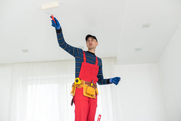 Best Asbestos and Lead Testing During Mold Inspection  in Town N Country, FL