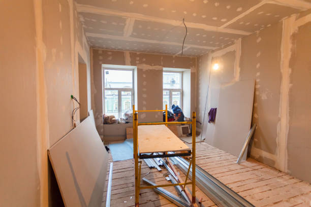 Best Attic Mold Removal  in Town N Country, FL